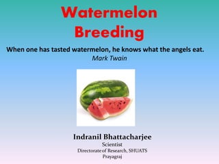 Watermelon
Breeding
Indranil Bhattacharjee
Scientist
Directorateof Research, SHUATS
Prayagraj
When one has tasted watermelon, he knows what the angels eat.
Mark Twain
 