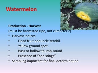 Watermelon
Production - Harvest
(must be harvested ripe, not climacteric)
• Harvest indices
• Dead fruit peduncle tendril
• Yellow ground spot
• Bass or hollow thump sound
• Presence of “bee stings”
• Sampling important for final determination
 