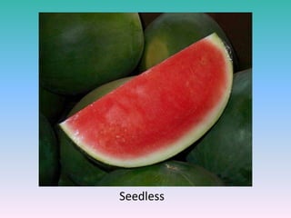 Seedless
 