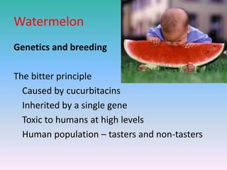 Watermelon
Genetics and breeding
The bitter principle
Caused by cucurbitacins
Inherited by a single gene
Toxic to humans at high levels
Human population – tasters and non-tasters
 