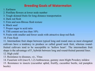Breeding Goals of Watermelon
1. Earliness
2. Pistillate flowers at lower node number
3. Tough skinned fruits for long distance transportation
4. Dark red flesh
5. Firm and non-fibrous flesh texture
6. Black seed
7. Proper sugar to acid ratio
8. TSS content not less than 10%
9. Fruits with smaller and fewer seeds with attractive deep red flesh
10. Firm flesh
11. Intermediate fruit shape between typical long and round ones as most elongated
cultivars have a tendency to produce so called gourd neck fruit, whereas round-
fruited cultivars tend to be susceptible to ‘hollow heart’. The intermediate fruit
shape is the advantage of F1 hybrids between long and round-fruited parental lines.
12. High yield
13. Resistance to diseases, viz., Virus
14. Fusarium wilt (race 0, 1,2) Anthracnose, gummy stem blight Powdery mildew
15. Resistance to insects (cucumber aphid, fruitfly, cucumber beetle, red pumpkin
beetle)
 