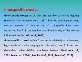Interspecific crosses
•Interspecific crosses in Citrullus are possible to varying degrees
(Robinson and Decker-Walters, 1997), but not unambiguous. e.g.,
crosses between C. lanatus and C. colocynthis have been
successful, but fruit set was low and directionality of the crosses
influenced results (Sain et al., 2002).
•Infra-specific crossed within C. lanatus is relatively easy, however,
high levels of marker segregation distortion, low fruit set and
diminished pollen viability have been observed (Hawkins et al.,
2001; Levi et al., 2004b; Sandlin et al., 2012; Ren et al., 2012).
 