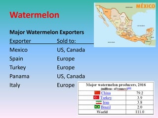 Watermelon
Major Watermelon Exporters
Exporter Sold to:
Mexico US, Canada
Spain Europe
Turkey Europe
Panama US, Canada
Italy Europe
 