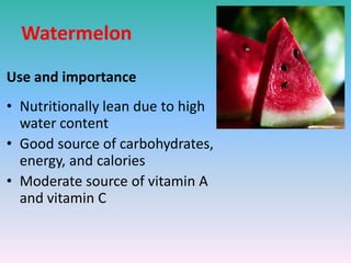 Watermelon
Use and importance
• Nutritionally lean due to high
water content
• Good source of carbohydrates,
energy, and calories
• Moderate source of vitamin A
and vitamin C
 