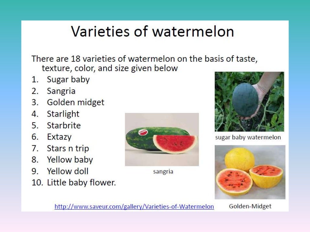 Watermelon breeding