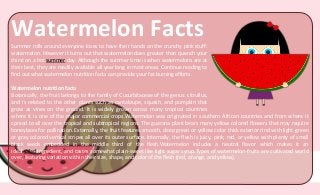 Watermelon FactsSummer rolls around everyone loves to have their hands on the crunchy pink stuff:
watermelon. However it turns out that watermelon does greater than quench your
thirst on a hot summer day. Although the summer time is when watermelons are at
their best, they are readily available all year long in most areas. Continue reading to
find out what watermelon nutrition facts can provide your fat burning efforts.
Watermelon nutrition facts
Botanically, the fruit belongs to the family of Cucurbitaceae of the genus: citrullus,
and is related to the other plants such as cantaloupe, squash, and pumpkin that
grow as vines on the ground. It is widely grown across many tropical countries
where it is one of the major commercial crops.Watermelon was originated in southern African countries and from where it
spread to all over the tropical and subtropical regions. The guarana plant bears many yellow colored flowers that may require
honeybees for pollination. Externally, the fruit features smooth, deep green or yellow color thick exterior rind with light-green
or gray colored vertical stripes all over its outer surface. Internally, the flesh is juicy, pink, red, or yellow with plenty of small
black seeds embedded in the middle third of the flesh.Watermelon includes a neutral flavor which makes it an
ideal salad ingredient, and tastes somewhat plain-sweet like light sugar syrup.Types of watermelon-fruits are cultivated world
over, featuring variation within their size, shape, and color of the flesh (red, orange, and yellow).
 