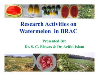 Research Activities on
Watermelon in BRAC
Presented By:
Dr. S. C. Biswas & Dr. Ariful Islam
 