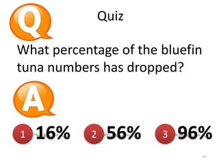 Quiz
What percentage of the bluefin
tuna numbers has dropped?

1

16%

2

56%

3

96%
14

 