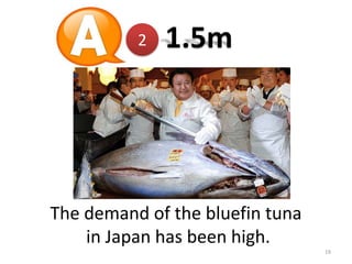 2

1.5m

The demand of the bluefin tuna
in Japan has been high.
19

 