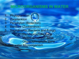 1. Phytoplankton:
- Floating microscopic autotrophs
- Cyanobacteria, algae (Chlorophyceae &
Bacillariophyceae)
 Classifie...