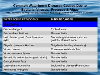 Diseases Caused By Bacteria In Water