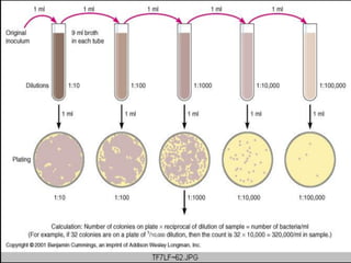 Tuberculation Water Water microbiology | PDF