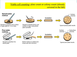 Water microbiology | PDF