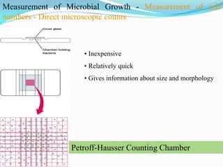 Water microbiology | PDF