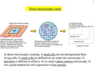 Diff Count Under Microscope Water microbiology | PDF