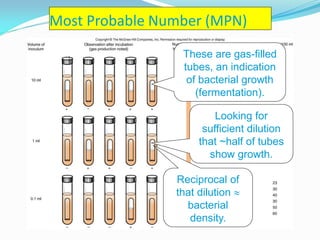 Water microbiology | PDF
