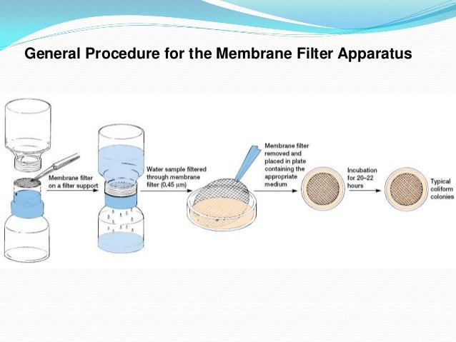 e coli in water pdf