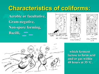 Characteristics of coliforms:Characteristics of coliforms:
Aerobic or facultative,Aerobic or facultative,
Gram-negative,Gram-negative,
Non-spore forming,Non-spore forming,
Bacilli,Bacilli,
which fermentwhich ferment
lactose to form acidlactose to form acid
and/or gas withinand/or gas within
48 hours at 3548 hours at 35 oo
C.C.
 
