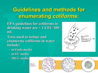 Guidelines and methods forGuidelines and methods for
enumerating coliforms:enumerating coliforms:
EPA guidelines for coliforms inEPA guidelines for coliforms in
drinking water are < 1 CFU/100drinking water are < 1 CFU/100
ml.ml.
Tests used to isolate andTests used to isolate and
enumerate coliforms in waterenumerate coliforms in water
include:include:
– m-Endo mediam-Endo media
– m-FC mediam-FC media
– MUG mediaMUG media
 