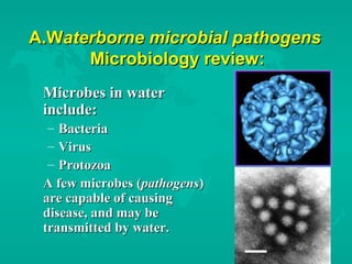 A.WA.Waterborne microbial pathogensaterborne microbial pathogens
Microbiology review:Microbiology review:
Microbes in waterMicrobes in water
include:include:
– BacteriaBacteria
– VirusVirus
– ProtozoaProtozoa
A few microbes (A few microbes (pathogenspathogens))
are capable of causingare capable of causing
disease, and may bedisease, and may be
transmitted by water.transmitted by water.
 