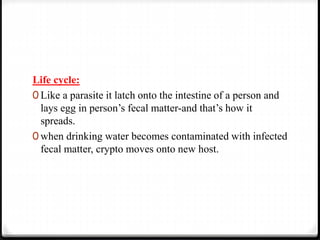 Life cycle:
0 Like a parasite it latch onto the intestine of a person and
lays egg in person’s fecal matter-and that’s how it
spreads.
0 when drinking water becomes contaminated with infected
fecal matter, crypto moves onto new host.
 
