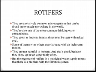 ROTIFERS
They are a relatively common microorganism that can be
found pretty much everywhere in the world.
They’re also one of the most common drinking water
contaminants.
They grow as large as 1mm at times (can be seen with naked
eye).
Some of them swim, others crawl around with an inchworm
motion.
They are not harmful to humans. And that’s good, because
they show up in tap water fairly often.
But the presence of rotifers in a municipal water supply means
that there is a problem with the filtration system.
 