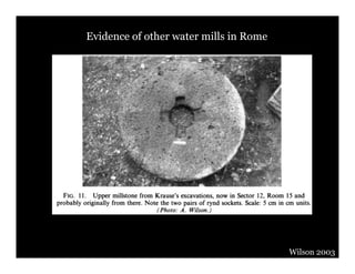 Evidence of other water mills in Rome




                                        Wilson 2003
 