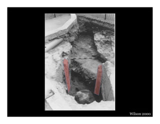 Wilson 2000
 