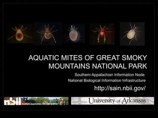 AQUATIC MITES OF GREAT SMOKYAQUATIC MITES OF GREAT SMOKY
MOUNTAINS NATIONAL PARKMOUNTAINS NATIONAL PARK
Southern Appalachian Information Node
National Biological Information Infrastructure
http://sain.nbii.gov/
 