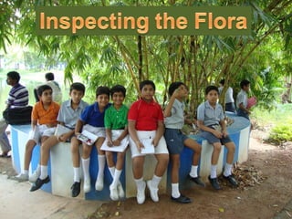 Water monitoring
