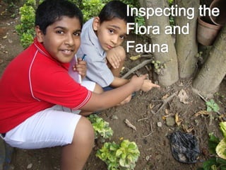 Water monitoring