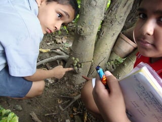 Water monitoring