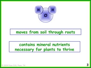 © 2004 Plano ISD, Plano, TX
moves from soil through roots
contains mineral nutrients
necessary for plants to thrive
O
HH HH
3
 