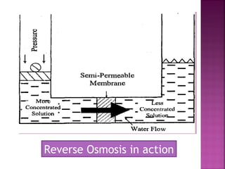 Reverse Osmosis in action
 