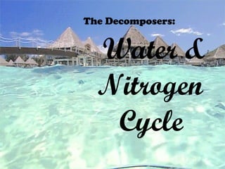 Water &
Nitrogen
Cycle
The Decomposers:
 
