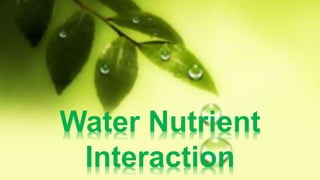 Water Nutrient
Interaction
 
