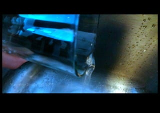 DSC02991.JPG 
Makenna Smith Fall 2014 
 