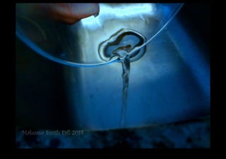 DSC02992.JPG 
Makenna Smith Fall 2014 
 