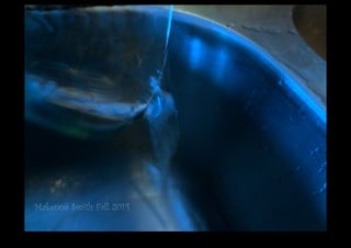 DSC02993.JPG 
Makenna Smith Fall 2014 
 