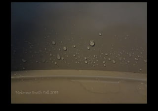 DSC02995.JPG 
Makenna Smith Fall 2014 
 