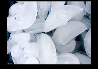 IMG_0119.jpg 
Makenna Smith Fall 2014 
 