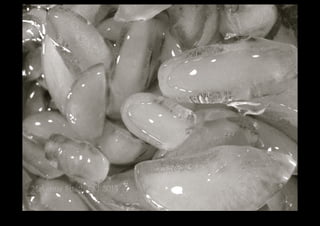 IMG_0127.jpg 
Makenna Smith Fall 2014 
 