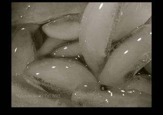 IMG_0128.jpg 
Makenna Smith Fall 2014 
 