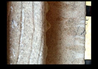 IMG_0130.jpg 
Makenna Smith Fall 2014 
 