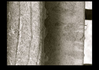 IMG_0131.jpg 
Makenna Smith Fall 2014 
 