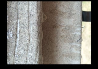 IMG_0132.jpg 
Makenna Smith Fall 2014 
 