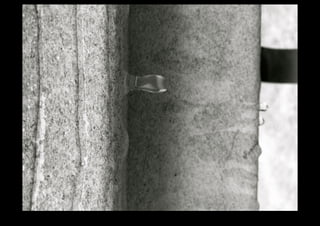 IMG_0133.jpg 
Makenna Smith Fall 2014 
 