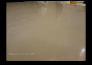 DSC02979.JPG 
Makenna Smith Fall 2014 
 