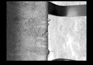 IMG_0134.jpg 
Makenna Smith Fall 2014 
 