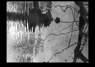 IMG_0137.jpg 
Makenna Smith Fall 2014 
 